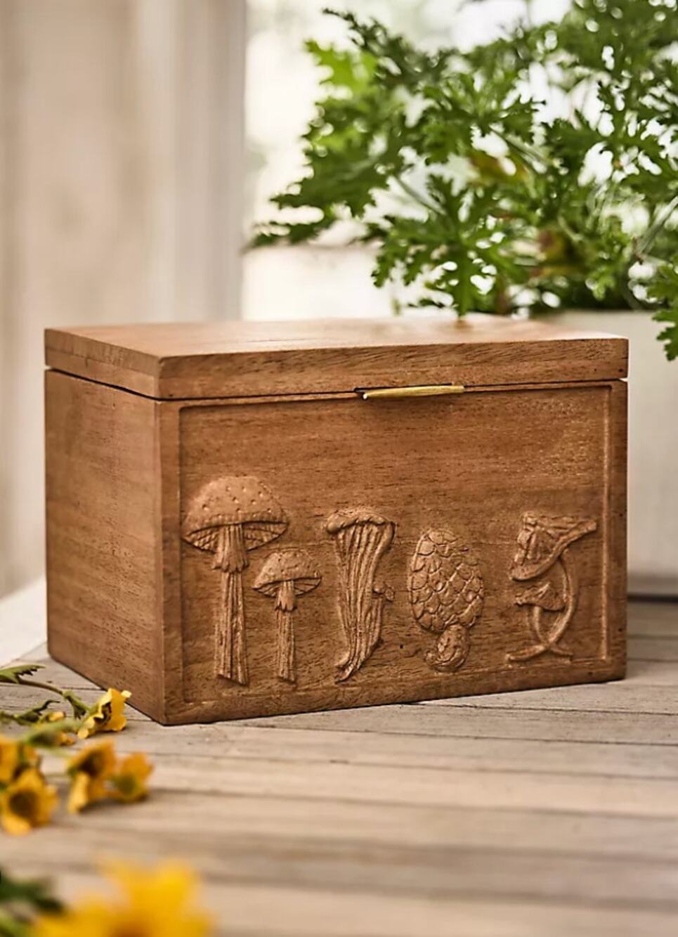 Anthropologie Mushroom Seed Storage Box NEW